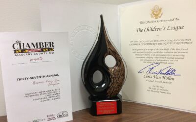 2025 Non-Profit of the Year